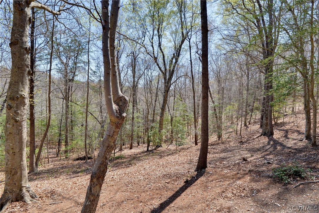 110 Westminster Place Williamsburg, VA 23188 - Photo 7 of 50 a view of a forest filled with trees
