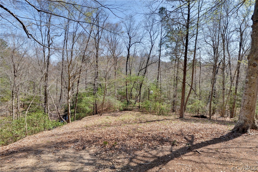 110 Westminster Place Williamsburg, VA 23188 - Photo 8 of 50 a view of backyard with green space
