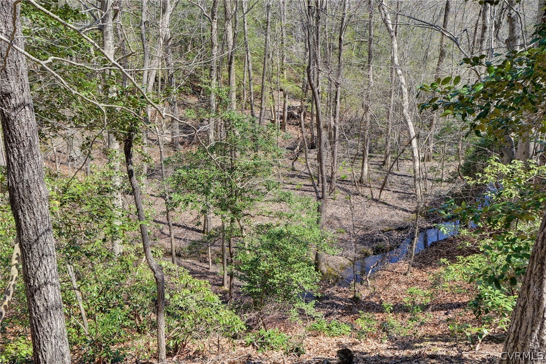 110 Westminster Place Williamsburg, VA 23188 - Photo 9 of 50 a picture of a tree