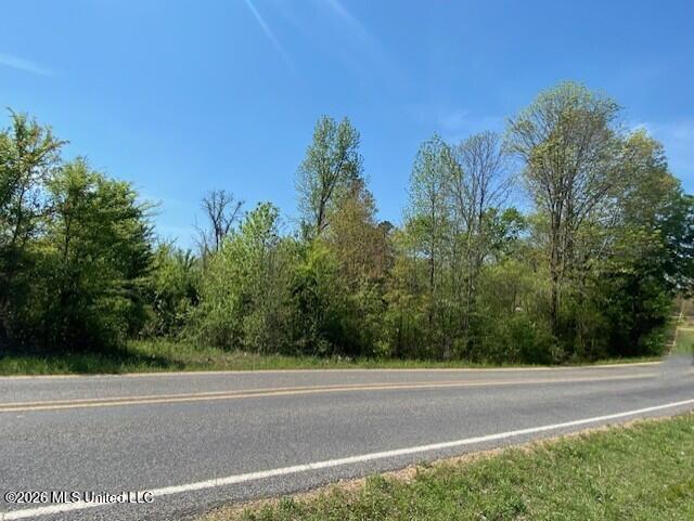 East Tate Road Coldwater, MS 38618 - Photo 3 of 8 41b1906e-699f-4a50-aa6c-c299ca13f381