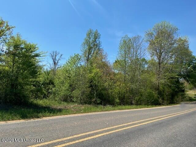 East Tate Road Coldwater, MS 38618 - Photo 5 of 8 0669c71a-f201-44bd-8dd1-8ee14a39be80