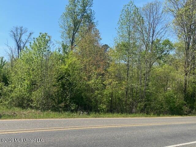 East Tate Road Coldwater, MS 38618 - Photo 6 of 8 f0b630fe-5cf5-4fa4-8f21-58f869aa1d1f