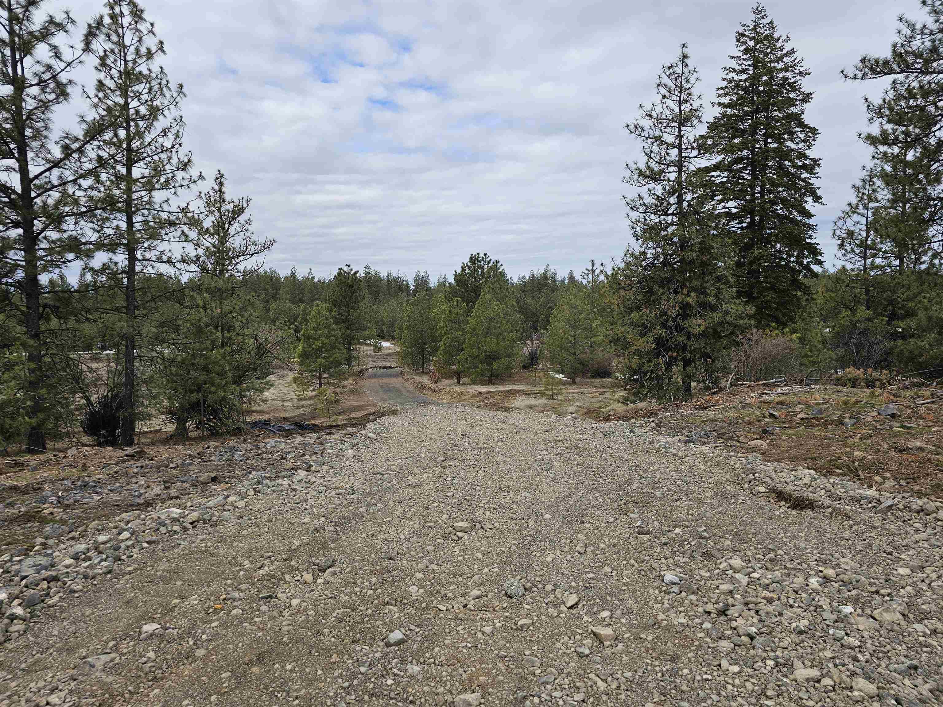 18324 West Burnett Road Nine Mile Falls, WA 99026 - Photo 7 of 34