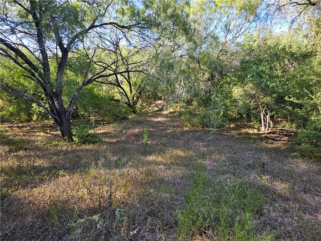 24024 441st Circle Mathis, TX 78368 - Photo 48 of 57 Gallery Image 48