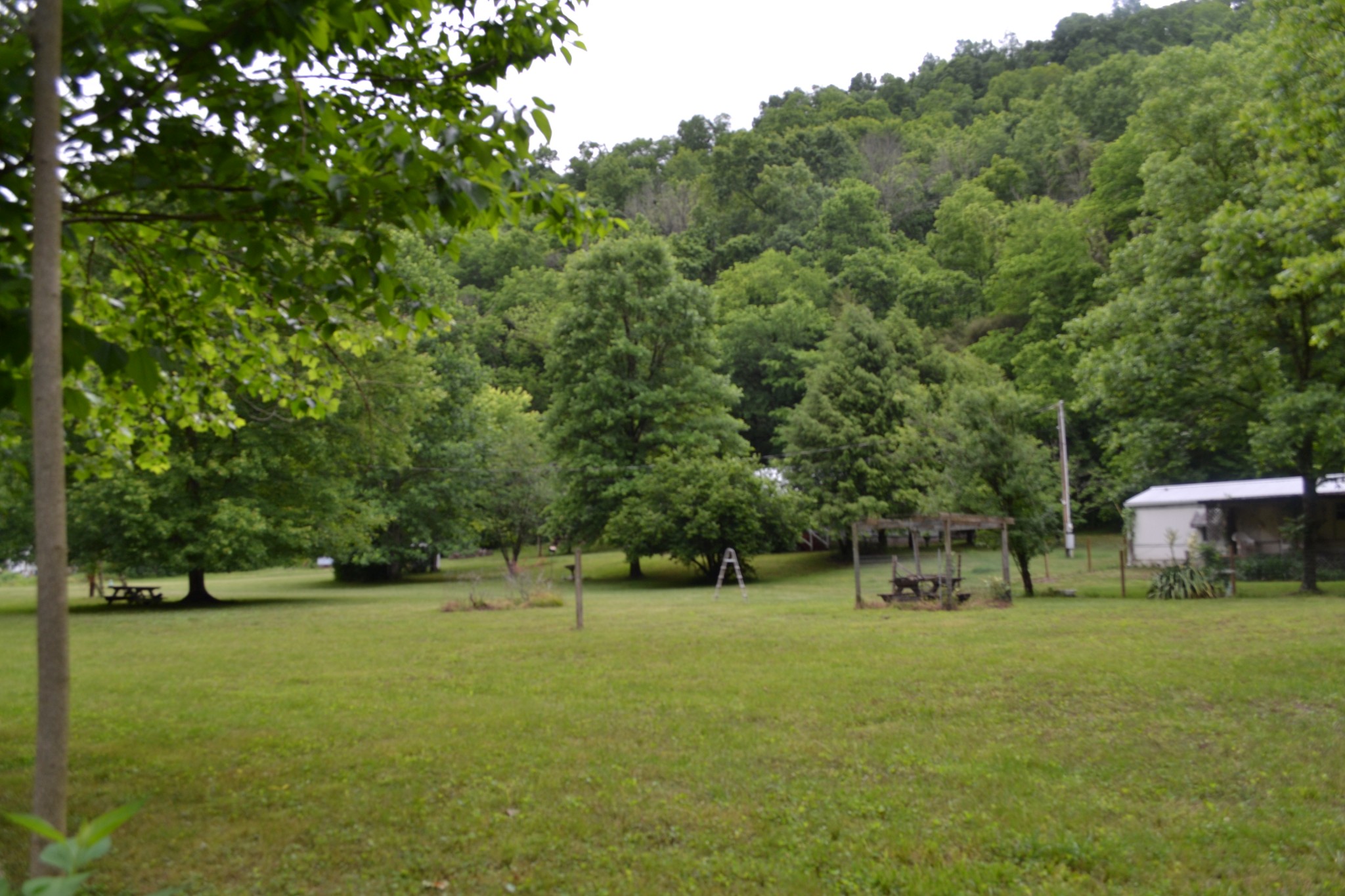 1505 Add Stafford Road Hilham, TN 38568 - Photo 60 of 65 a view of green field