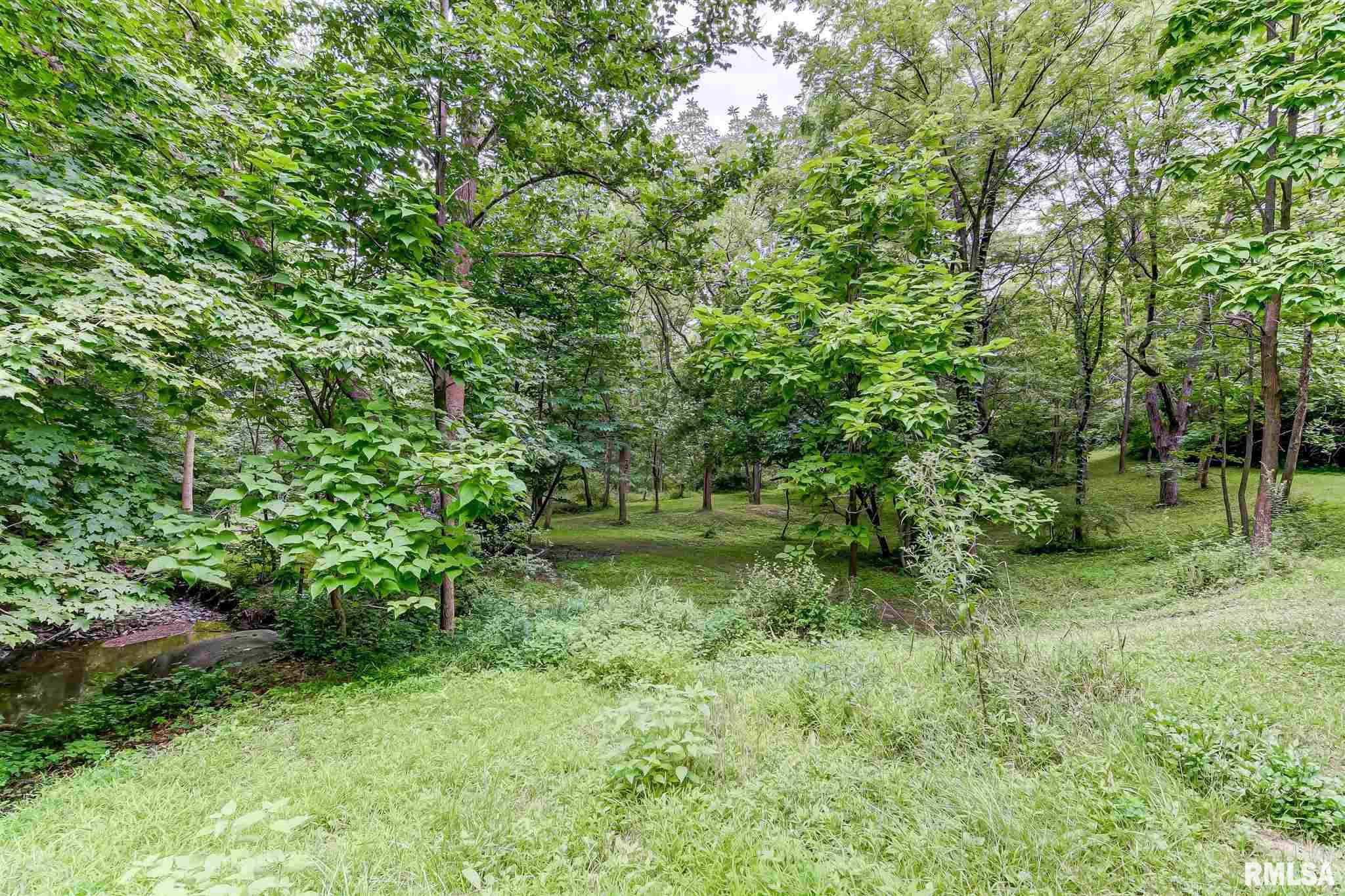 25 Woodland Trail Rochester, IL 62563 - Photo 42 of 50