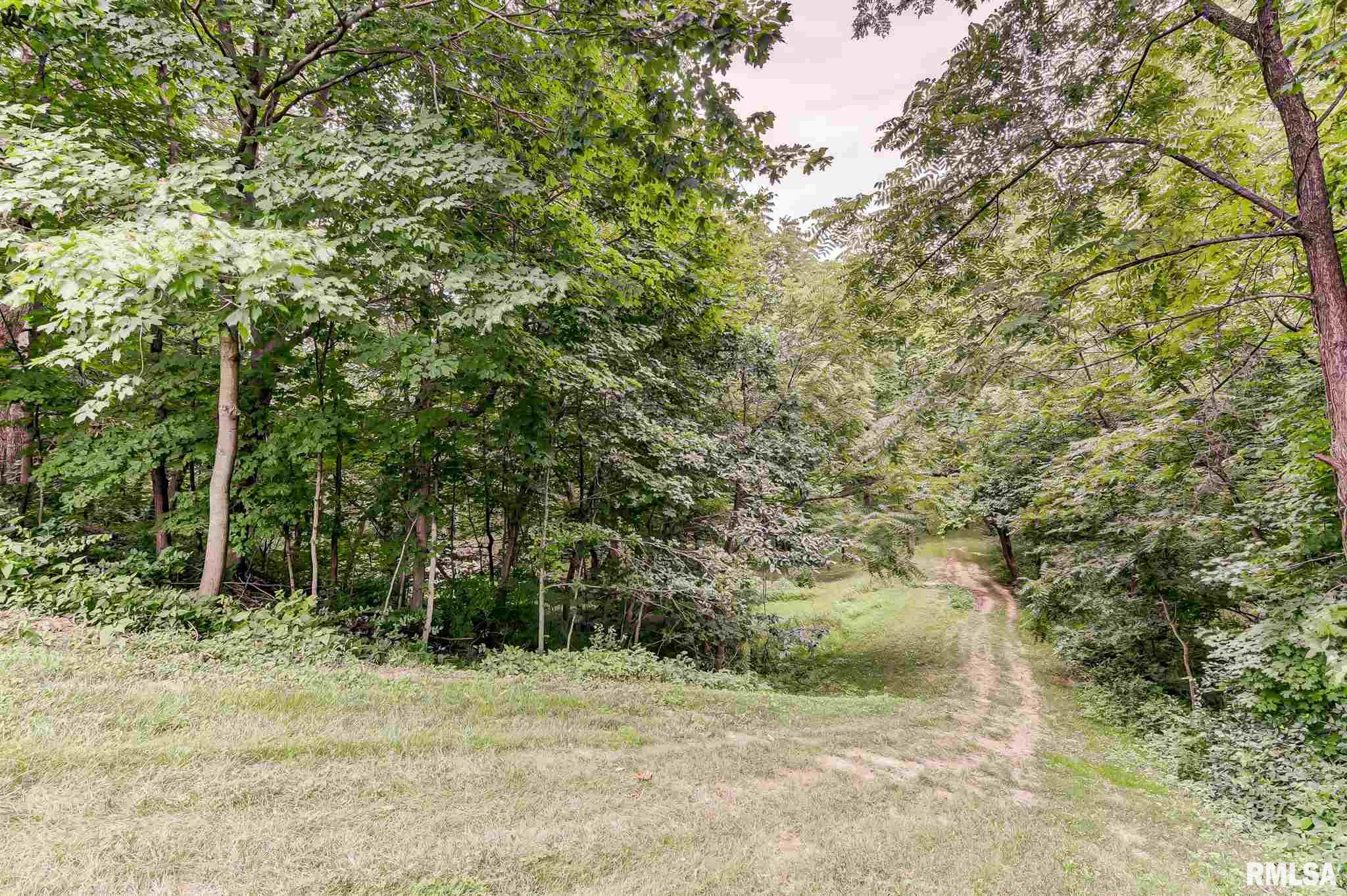 25 Woodland Trail Rochester, IL 62563 - Photo 46 of 50