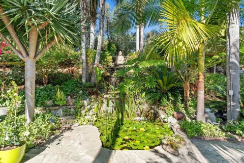 a view of a yard with plants