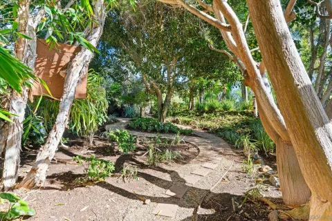 a view of backyard with a table and chairs and potted plants