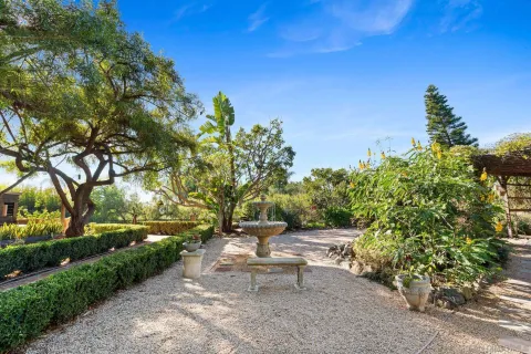 a view of a backyard with plants and large trees