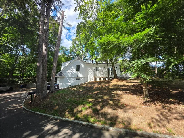 a view of a yard with plants and trees