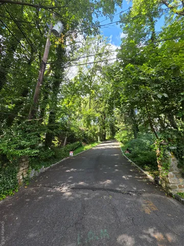 a view of a yard with plants and a trees