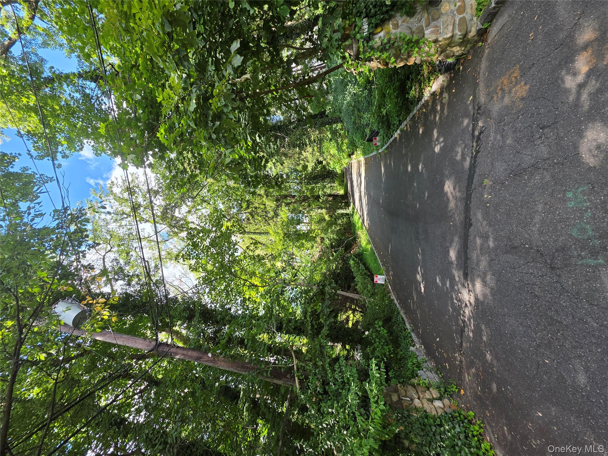 20 North Ravine Road Kings Point, NY 11023 - Photo 42 of 49 a view of a yard with plants and a trees