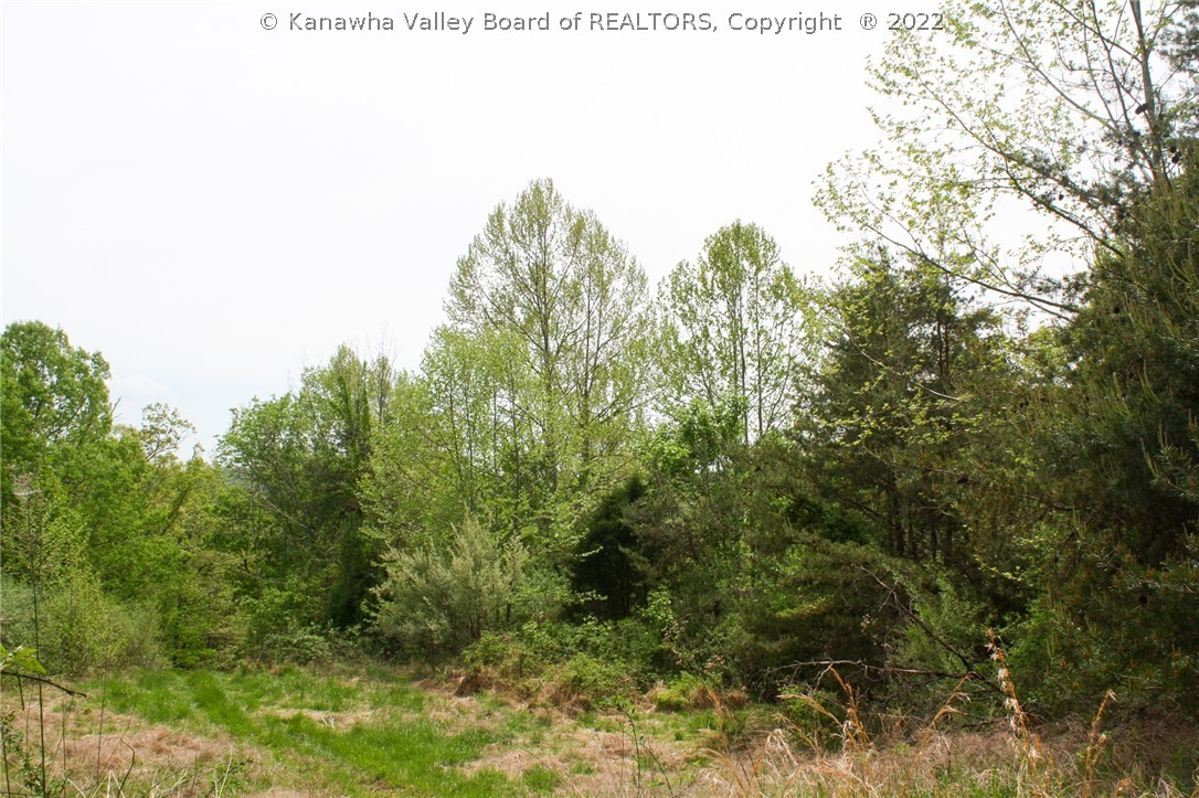0 Shatto Road Ripley, WV 25271 - Photo 5 of 9 Gallery Image 5