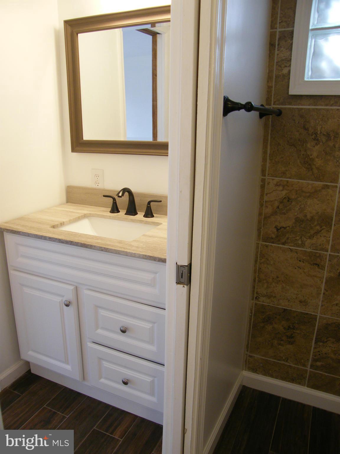 13261 Wilt Store Road Leesburg, VA 20176 - Photo 26 of 30 LL Bath- view 3- separate 2nd Sink Vanity