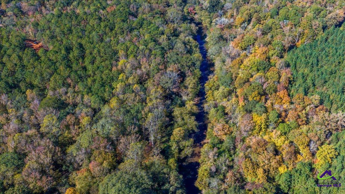 3271 Highway 42 Forsyth, GA 31029 - Photo 19 of 29