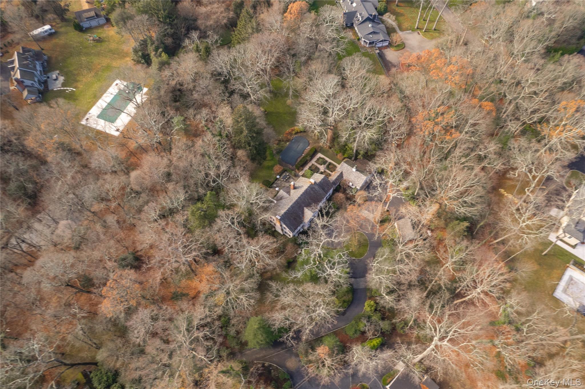 10 Hidden Pond Muttontown, NY 11545 - Photo 45 of 46 a view of a forest with trees
