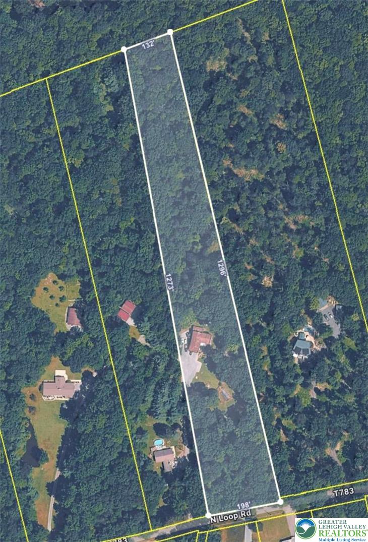 9223 North Loop Road Slatington, PA 18080 - Photo 60 of 60 a bird view image of a house