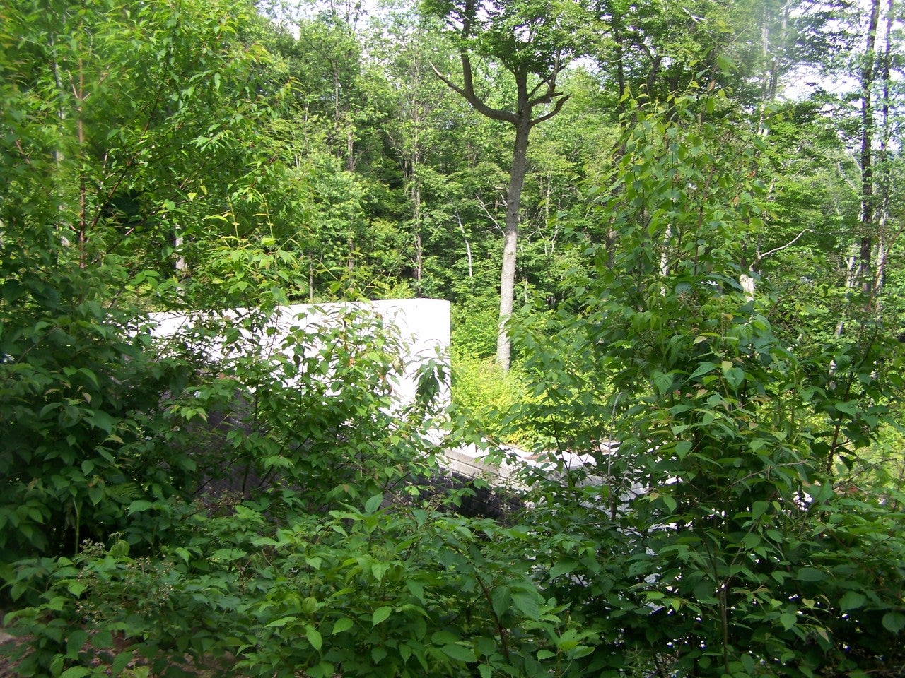 16 Cherry Grove Road Slatyfork, WV 26291 - Photo 14 of 19 Gallery Image 14