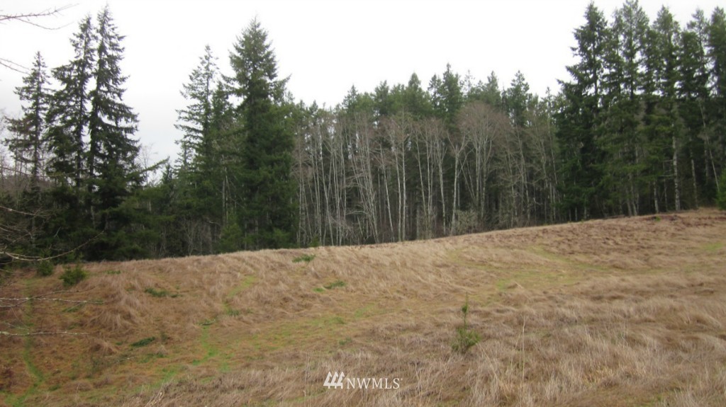 35 Drazil Road Raymond, WA 98577 - Photo 14 of 25 Gallery Image 14