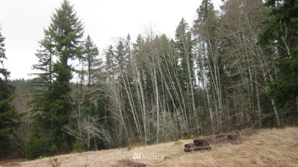 35 Drazil Road Raymond, WA 98577 - Photo 22 of 25 Gallery Image 22