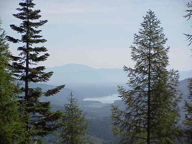 503 Sundowner, Unit 503 Mead, WA 99021 - Photo 3 of 4