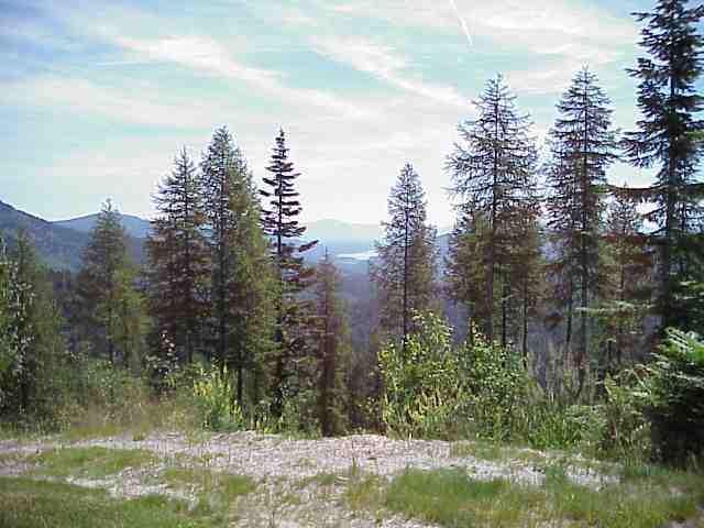 503 Sundowner, Unit 503 Mead, WA 99021 - Photo 4 of 4