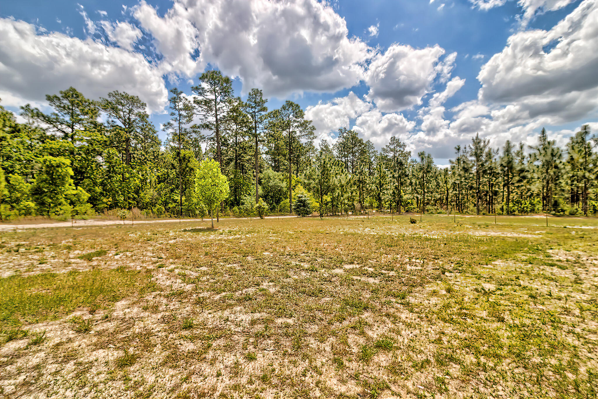 800 Wagontong Road Wagener, SC 29164 - Photo 49 of 57
