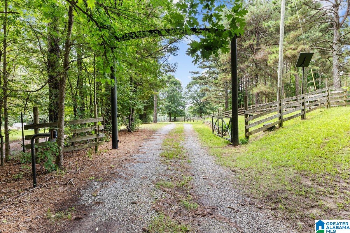 2040 Bud Mountain Road Blountsville, AL 35031 - Photo 2 of 47