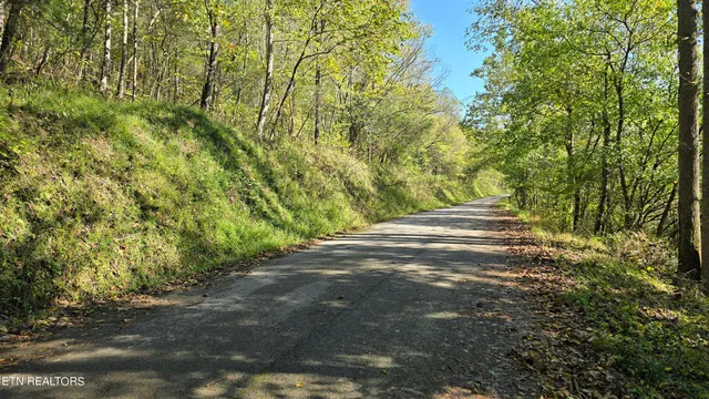 $139,000 | Tbd Lower Wallens Creek Road, Jonesville, VA 24263