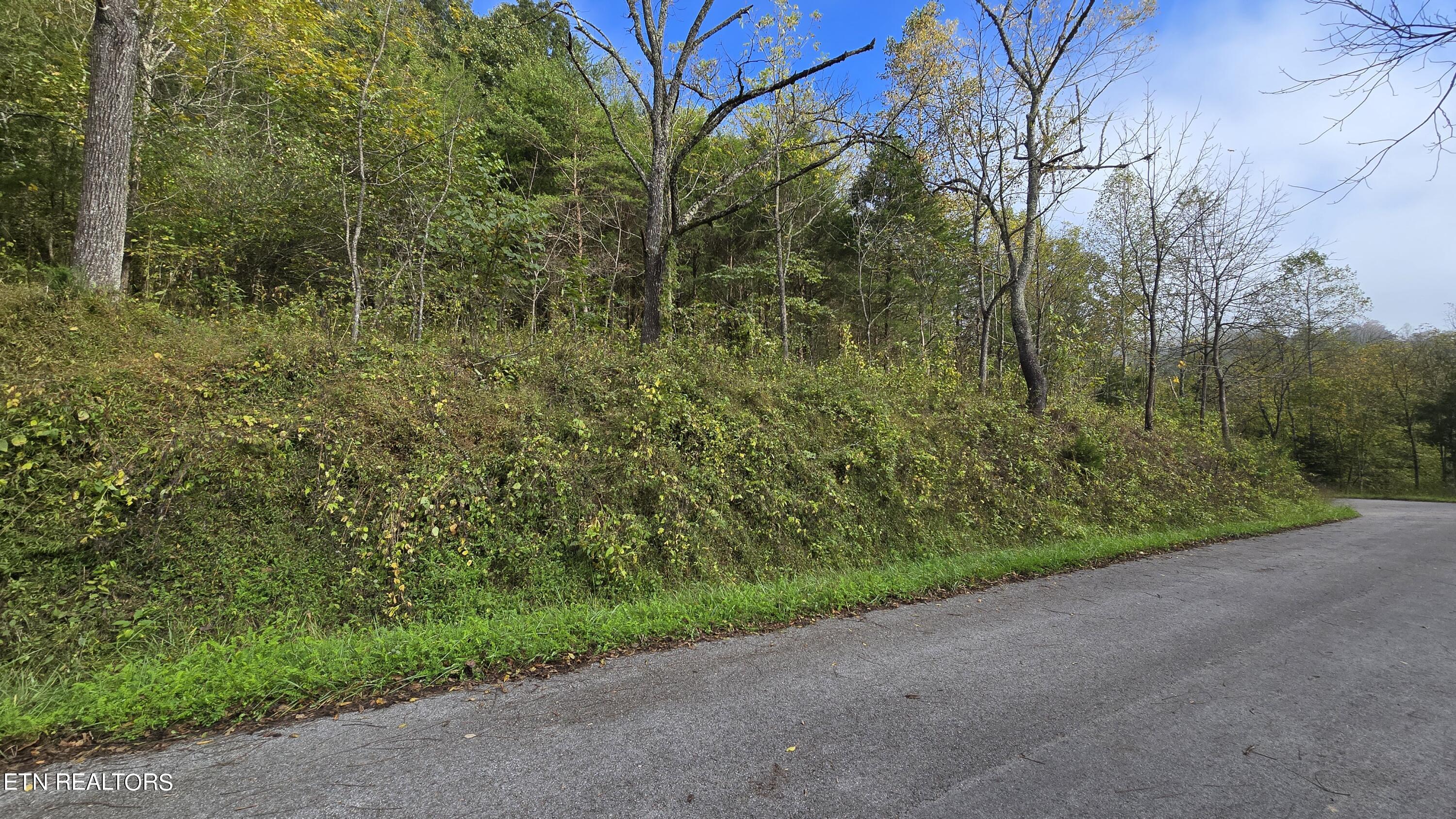 Tbd Lower Wallens Creek Road Jonesville, VA 24263 - Photo 3 of 7 Property on left