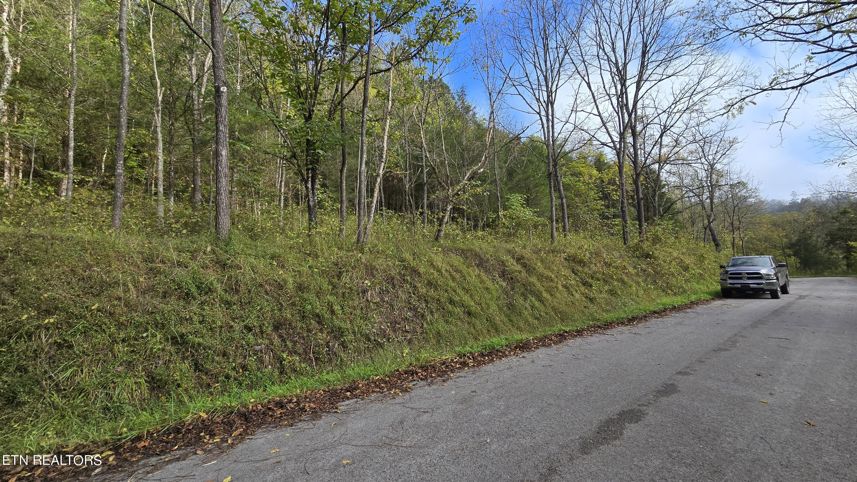 Tbd Lower Wallens Creek Road Jonesville, VA 24263 - Photo 4 of 7 Property on left