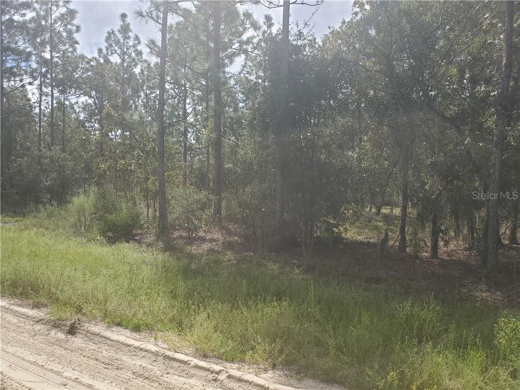 56 Street Bronson Bronson, FL 32621 - Photo 1 of 1 a view of a small yard