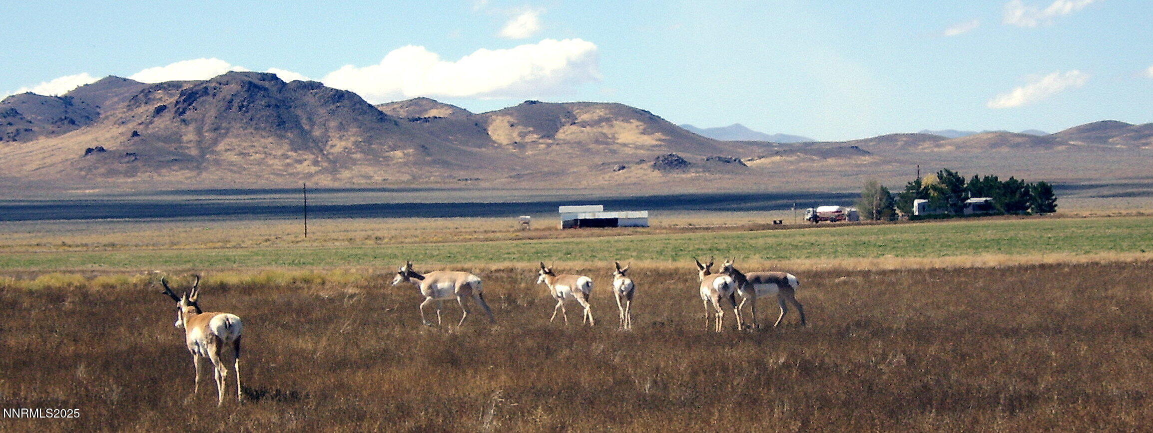 6670 Antelope Circle, Unit 649008 Austin, NV 89310 - Photo 6 of 10 Lots Pic 6