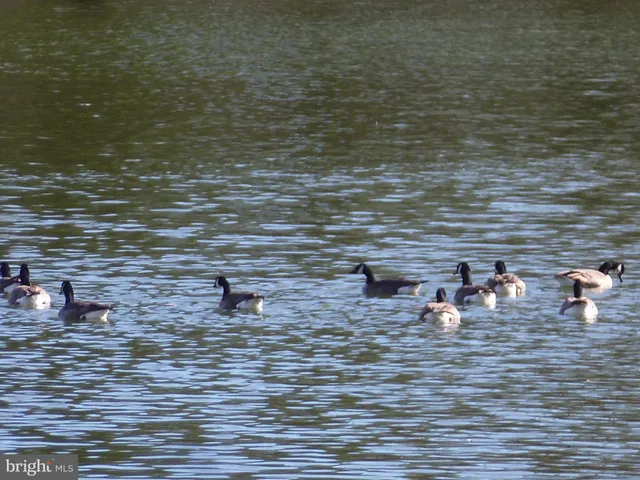 $2,100 | 1708 Lake Shore Crest Drive, Unit 14, Reston, VA 20190