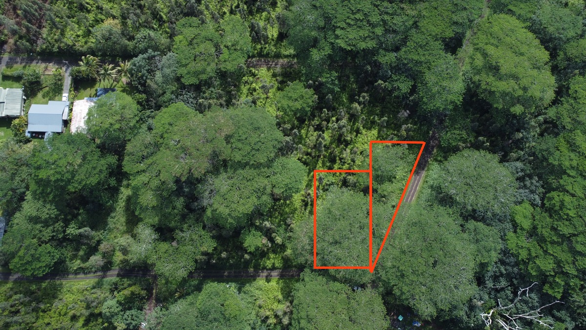 1101 Alii Road Pahoa, HI 96778 - Photo 3 of 6 Gallery Image 3