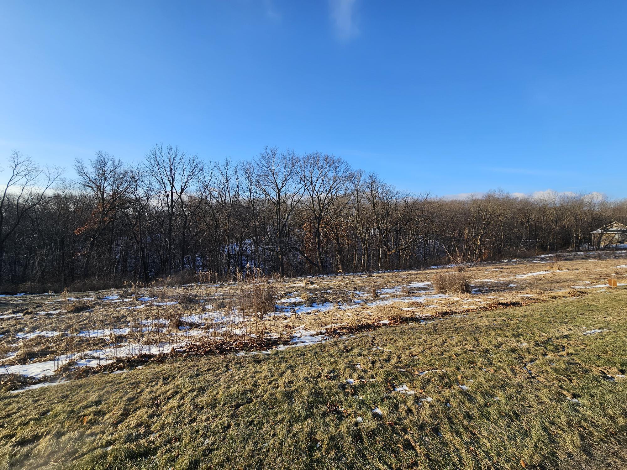 Tbd Tbd Gig Drive Galena, IL 61036 - Photo 2 of 5 a view of a yard with a tree