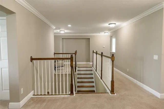 $829,900 | 1970 Fox Grape Loop, Lutz, FL 33558