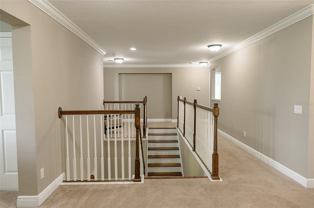 1970 Fox Grape Loop Lutz, FL 33558 - Photo 25 of 44