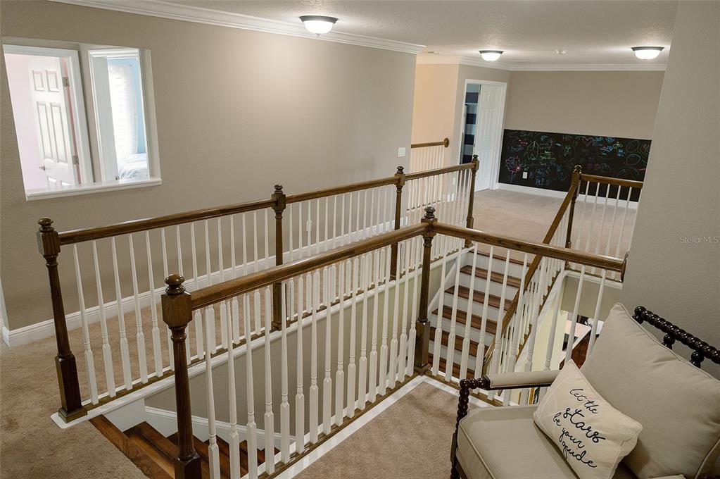 1970 Fox Grape Loop Lutz, FL 33558 - Photo 33 of 44