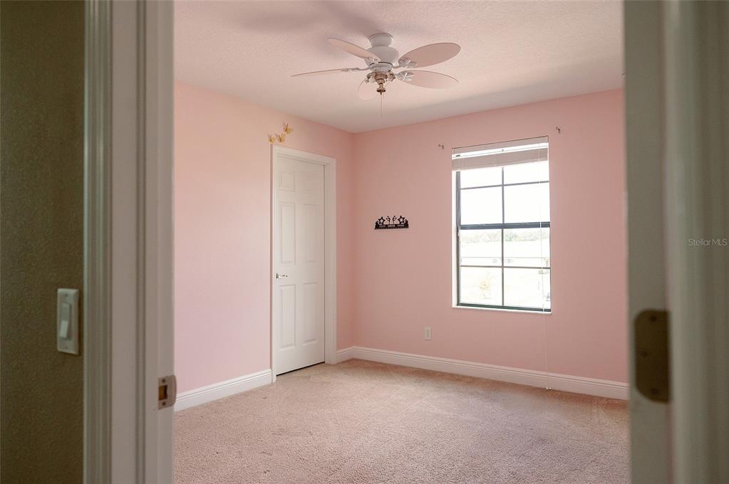 1970 Fox Grape Loop Lutz, FL 33558 - Photo 35 of 44