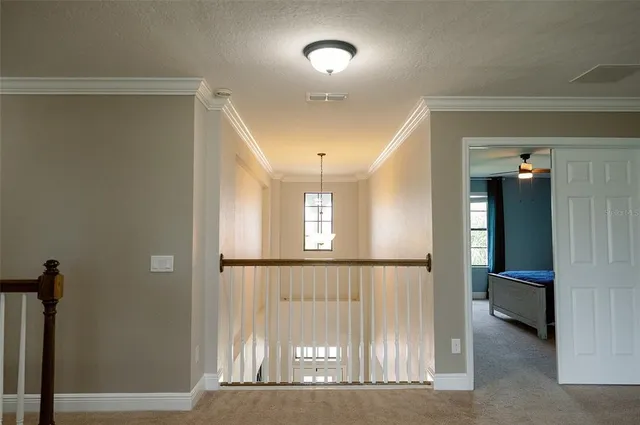 $829,900 | 1970 Fox Grape Loop, Lutz, FL 33558