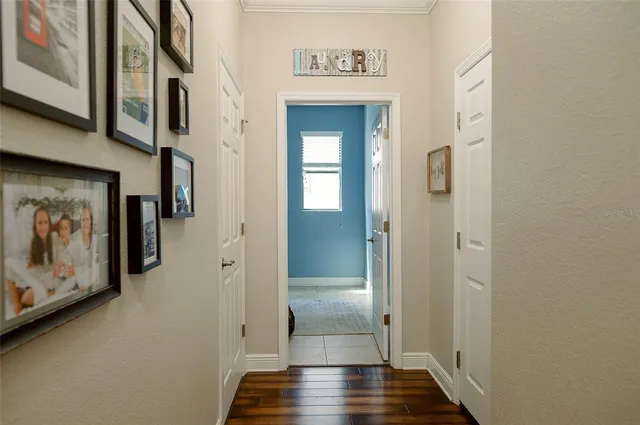 $829,900 | 1970 Fox Grape Loop, Lutz, FL 33558