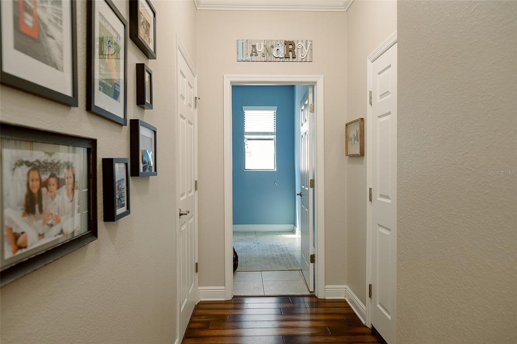 1970 Fox Grape Loop Lutz, FL 33558 - Photo 39 of 44