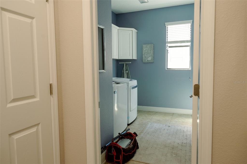 1970 Fox Grape Loop Lutz, FL 33558 - Photo 40 of 44