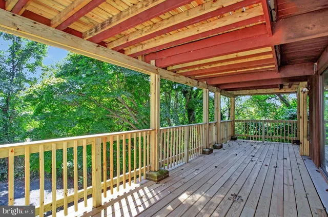 a front view of a house with a yard and a tree