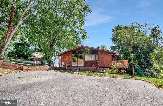 a tall tree in middle of the garden