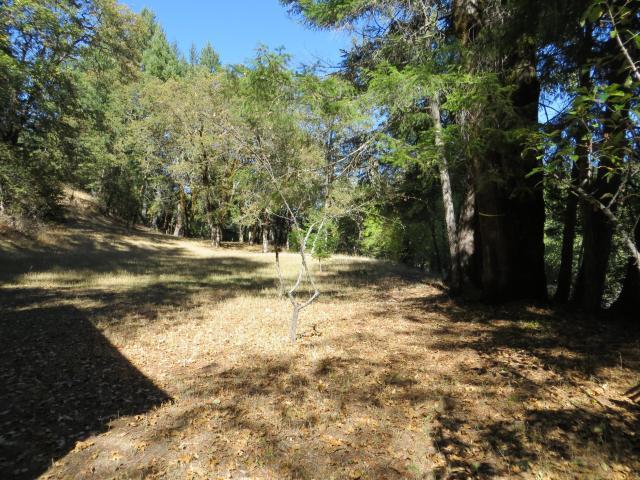 2500 Van Duzen Road Bridgeville, CA 95526 - Photo 28 of 48
