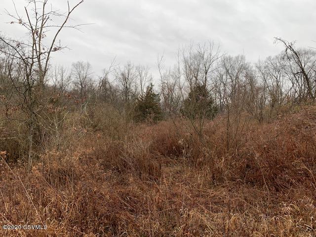 0 Dolan Heights Road Mifflintown, PA 17059 - Photo 11 of 16 Gallery Image 11