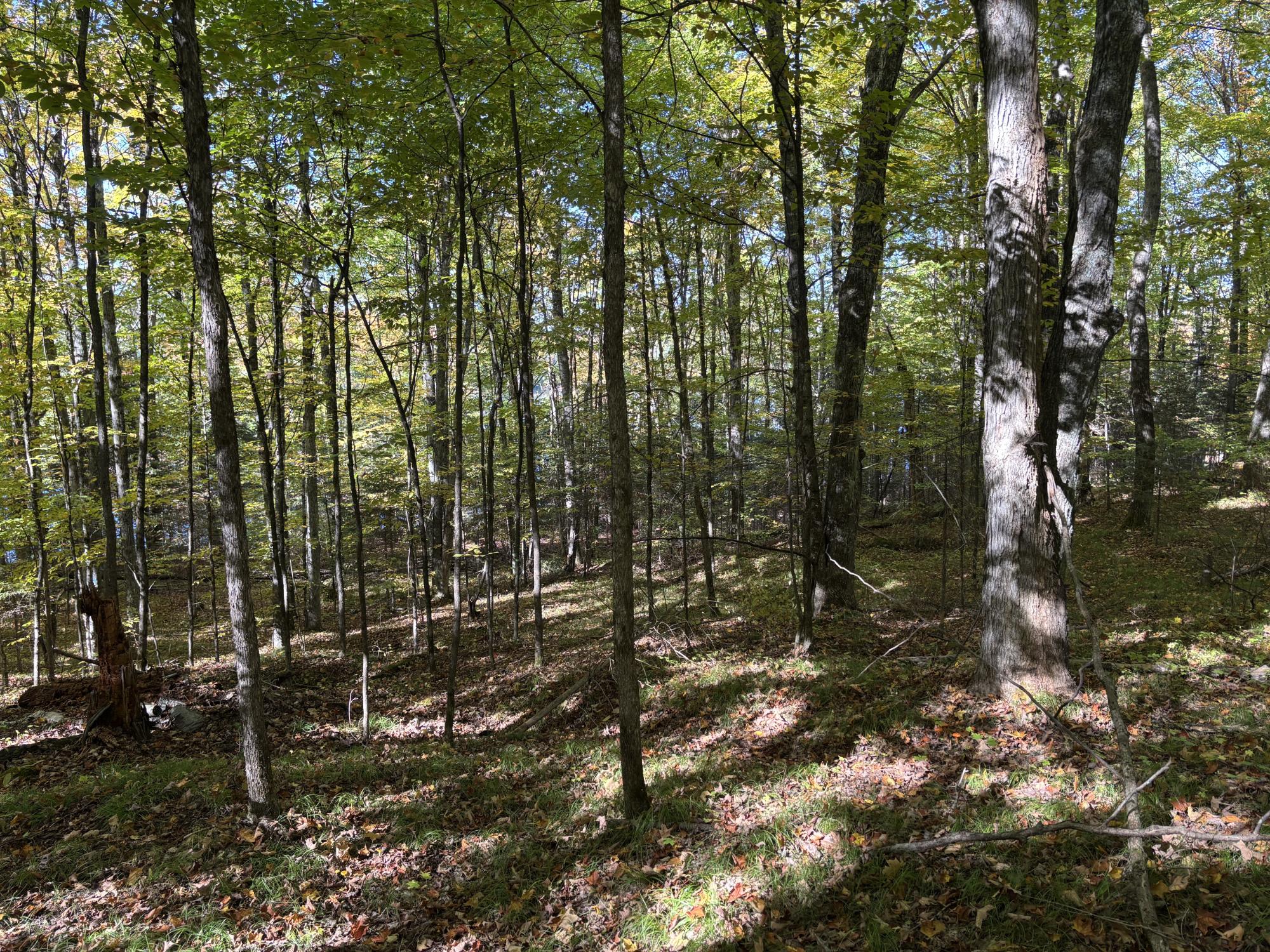 Lot 21 Nicolet Shores Road Phelps, WI 54554 - Photo 8 of 16 Gallery Image 8